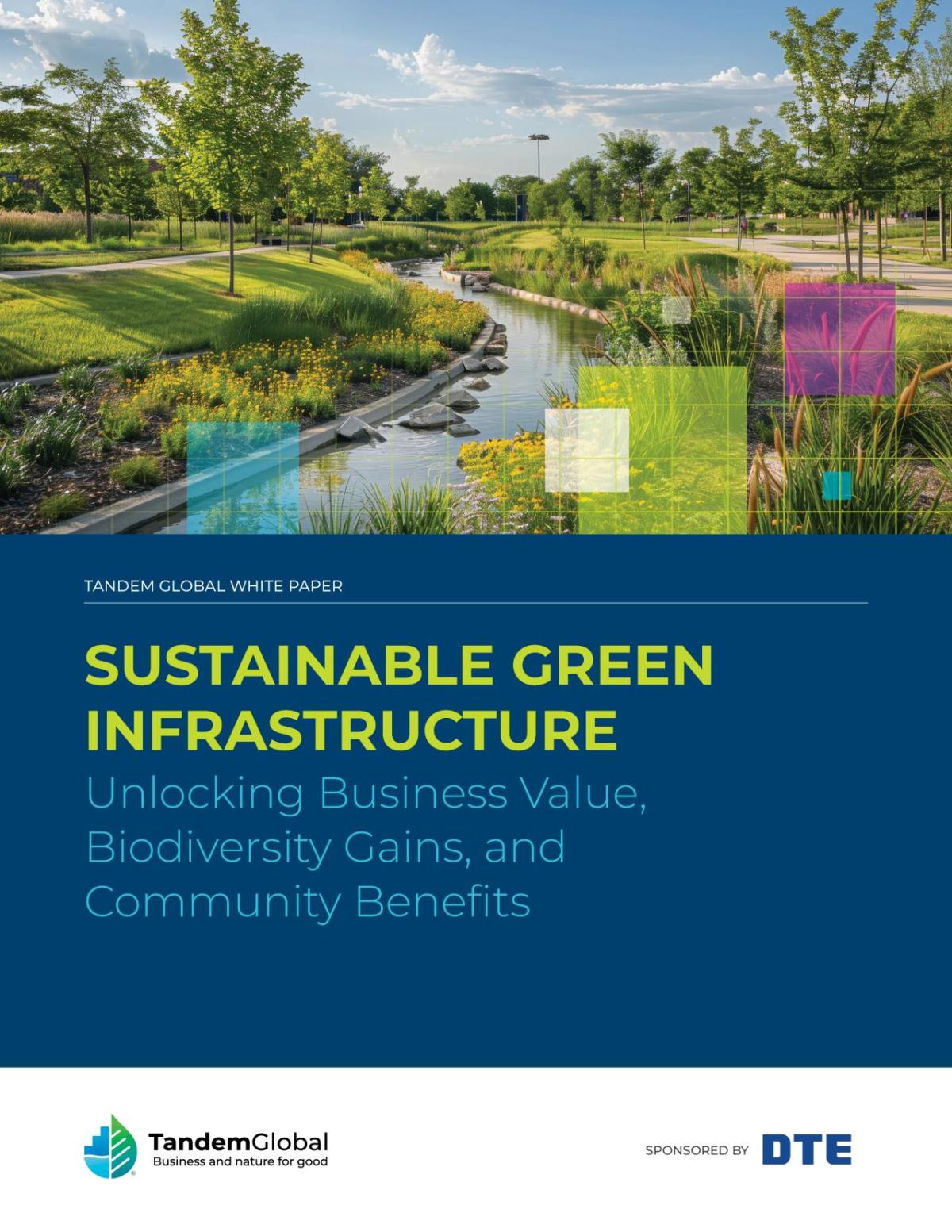 Innovative Green Infrastructure Solutions
